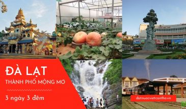 Đà Lạt (3 Ngày 3 Đêm) – Khởi hành tối 4/6 – 7/6